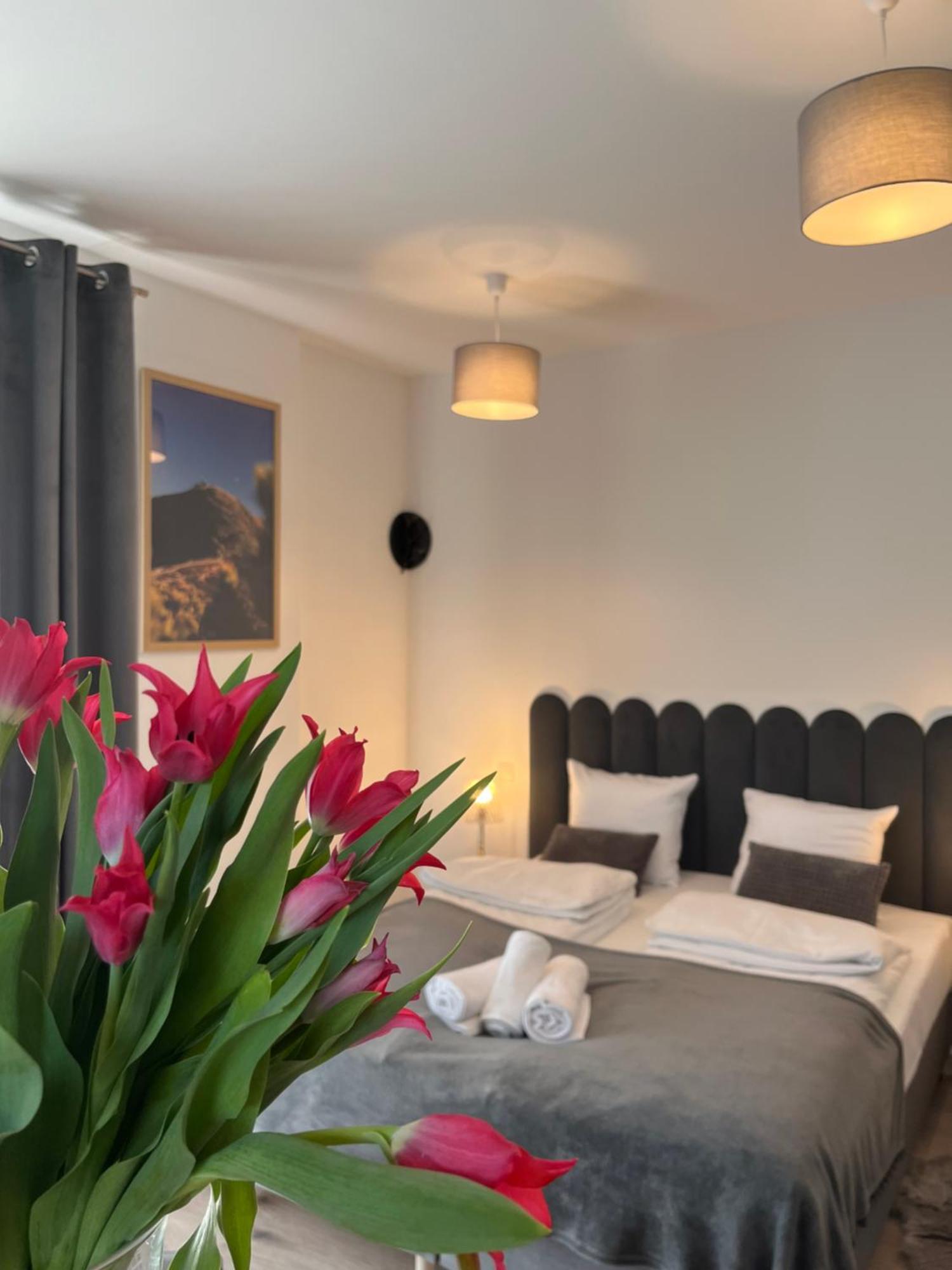 Karkonoskie Widoki Apartamenty Karpacz Eksteriør billede