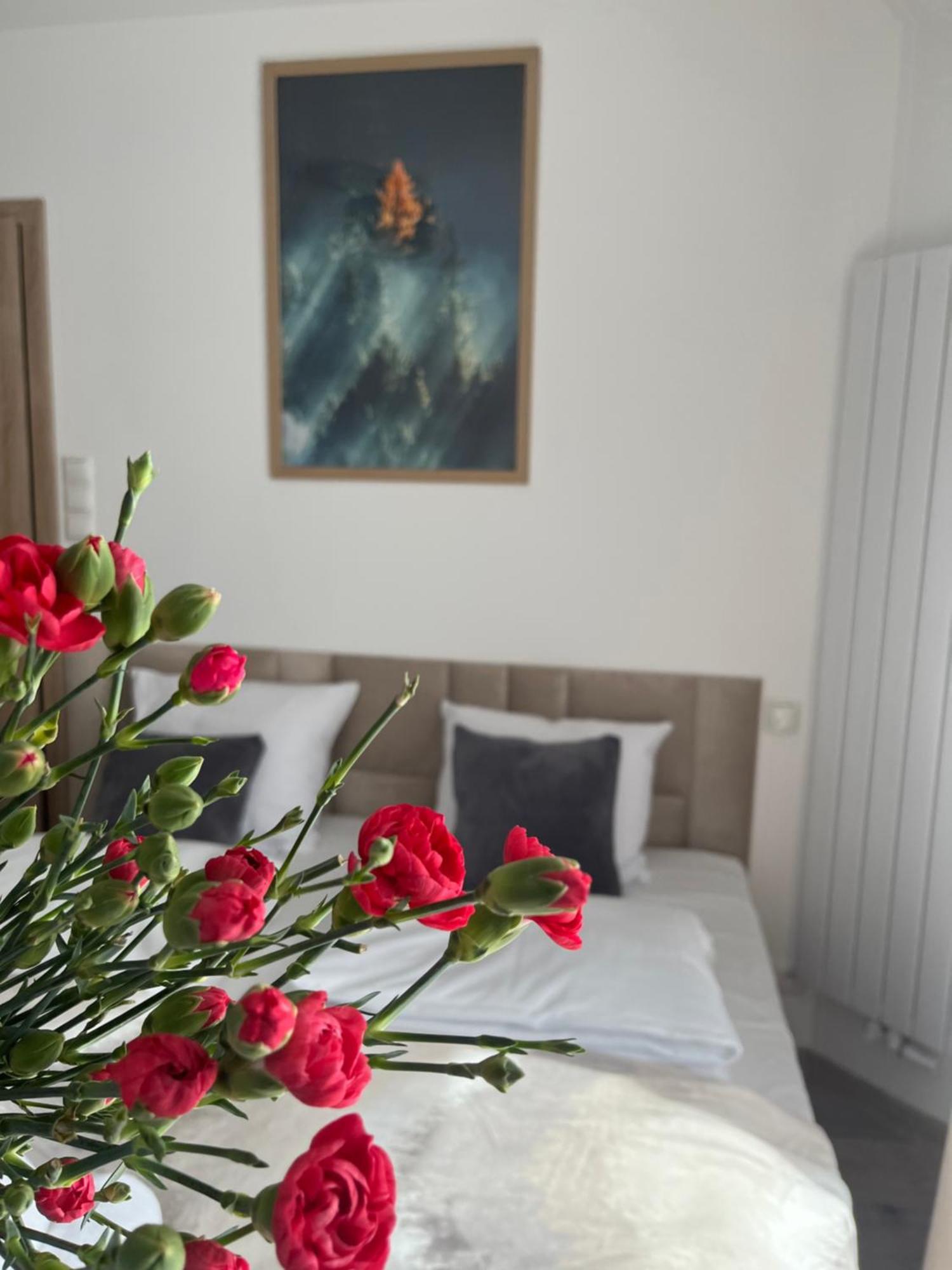 Karkonoskie Widoki Apartamenty Karpacz Eksteriør billede