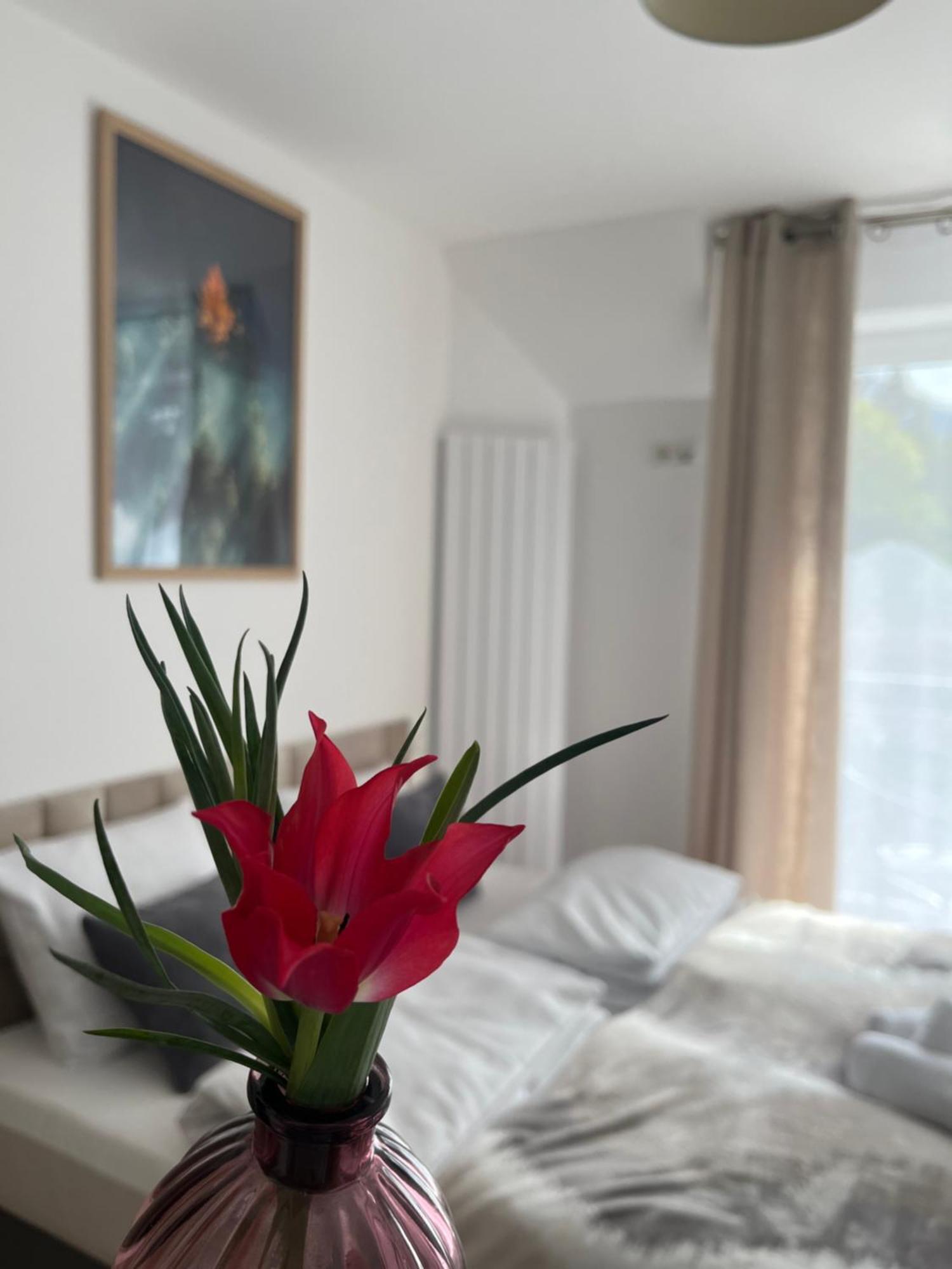 Karkonoskie Widoki Apartamenty Karpacz Eksteriør billede