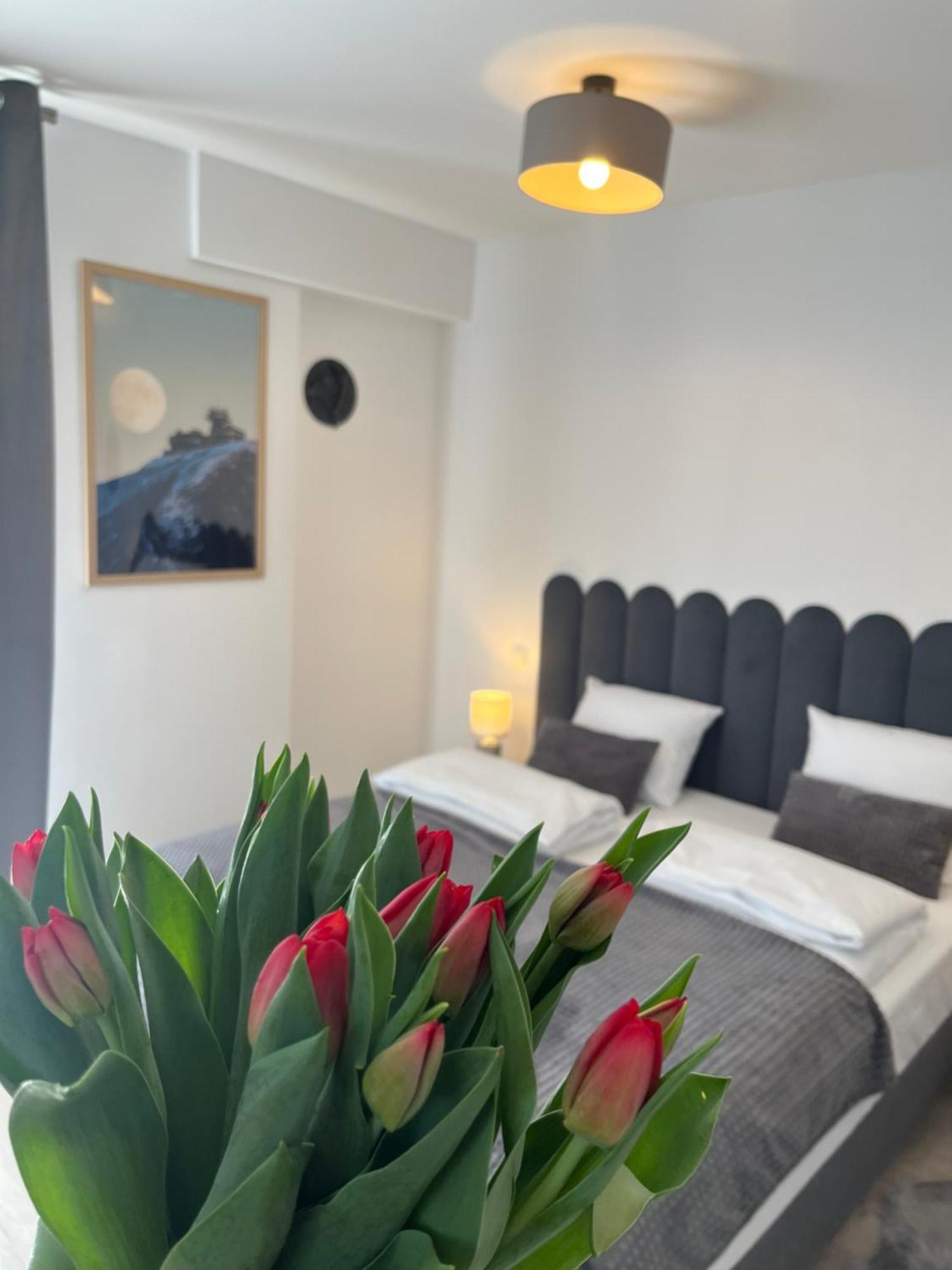 Karkonoskie Widoki Apartamenty Karpacz Eksteriør billede