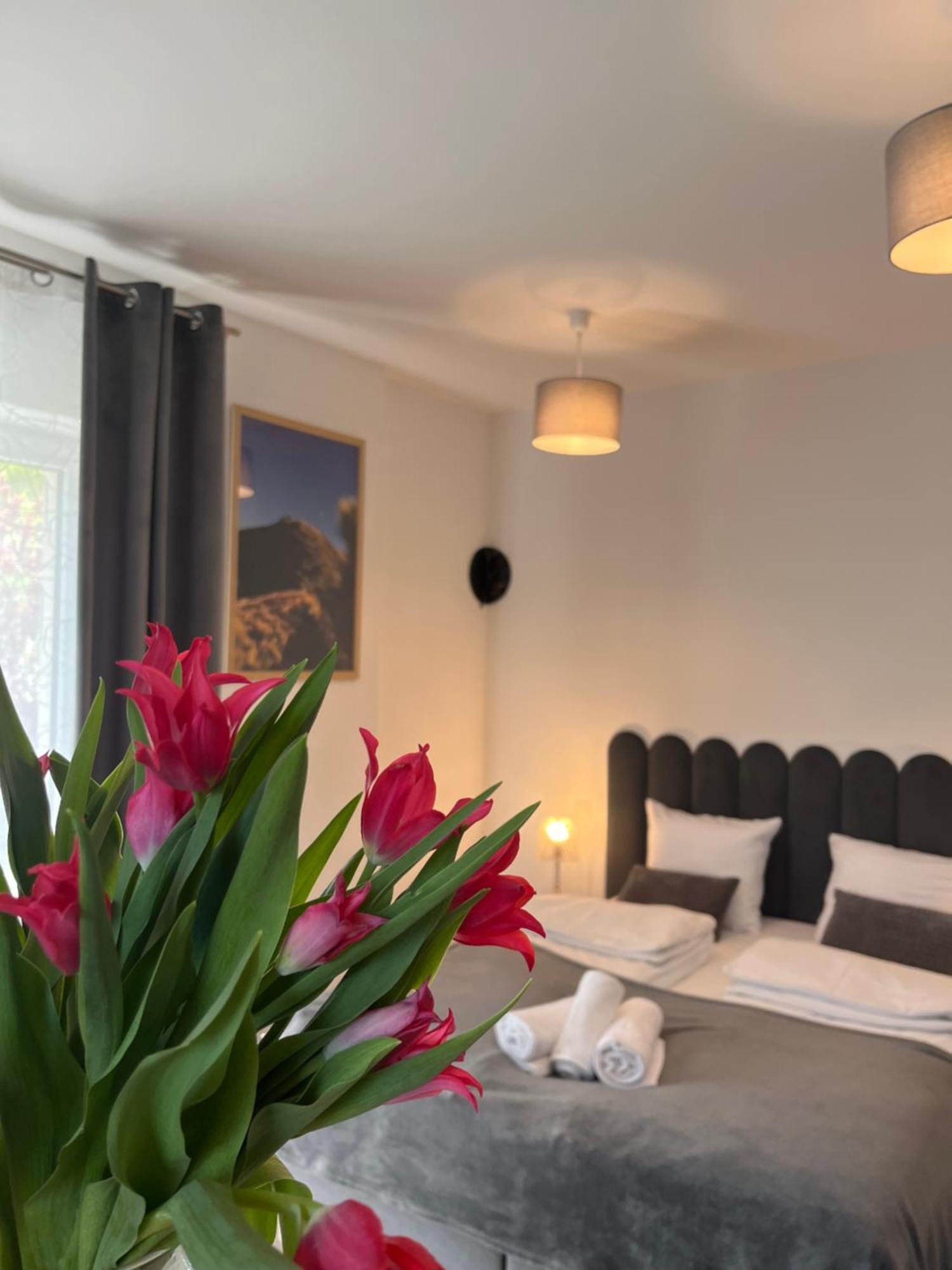 Karkonoskie Widoki Apartamenty Karpacz Eksteriør billede