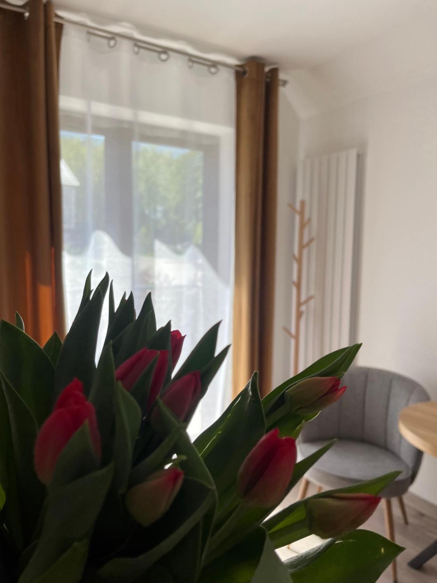 Karkonoskie Widoki Apartamenty Karpacz Eksteriør billede